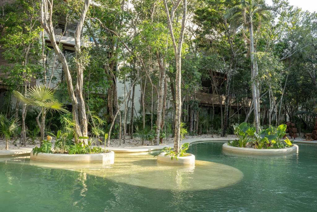 Apartment New 1 Bedroom - Tulum